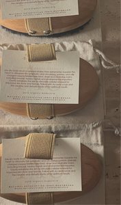 THE IONIC BODY BRUSH