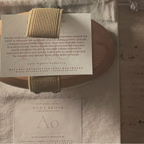 THE IONIC BODY BRUSH